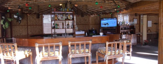 Tropical Bar with HD TV